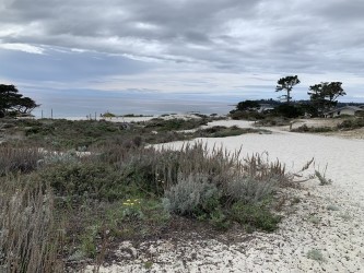 North Dunes5